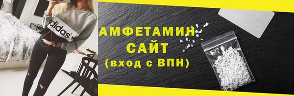 СК Ельня