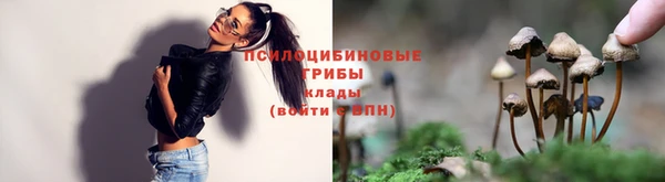 мдма Дмитровск