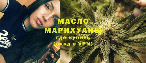 СК Ельня